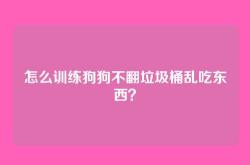 怎么训练狗狗不翻垃圾桶乱吃东西？