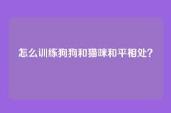 怎么训练狗狗和猫咪和平相处？