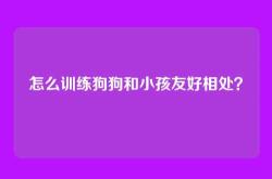 怎么训练狗狗和小孩友好相处？