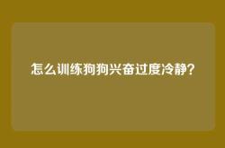 怎么训练狗狗兴奋过度冷静？