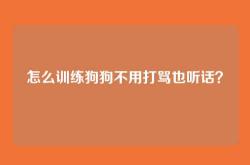 怎么训练狗狗不用打骂也听话？