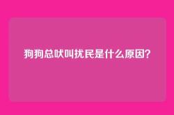 狗狗总吠叫扰民是什么原因？