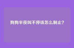 狗狗半夜叫不停该怎么制止？