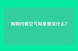狗狗对着空气叫是看见什么？
