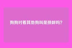 狗狗对着其他狗叫是挑衅吗？