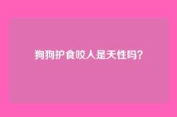 狗狗护食咬人是天性吗？