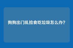 狗狗出门乱捡食吃垃圾怎么办？