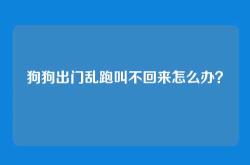 狗狗出门乱跑叫不回来怎么办？