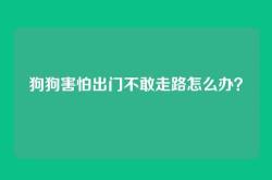 狗狗害怕出门不敢走路怎么办？