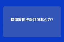 狗狗害怕洗澡吹风怎么办？