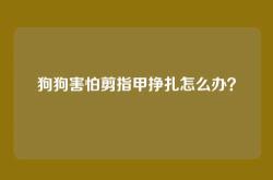 狗狗害怕剪指甲挣扎怎么办？