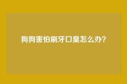 狗狗害怕刷牙口臭怎么办？