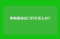 狗狗害怕出门打针怎么办？