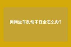 狗狗坐车乱动不安全怎么办？