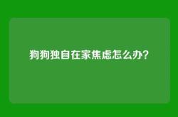 狗狗独自在家焦虑怎么办？