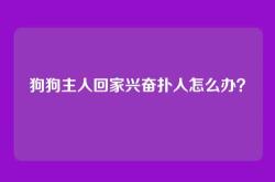 狗狗主人回家兴奋扑人怎么办？