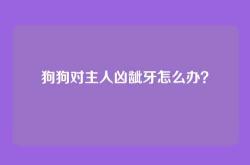 狗狗对主人凶龇牙怎么办？