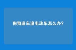 狗狗追车追电动车怎么办？