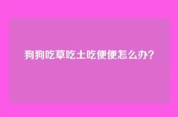 狗狗吃草吃土吃便便怎么办？