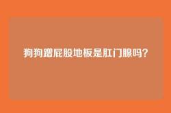 狗狗蹭屁股地板是肛门腺吗？