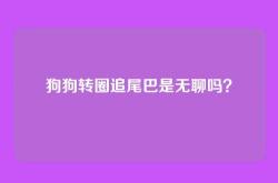 狗狗转圈追尾巴是无聊吗？