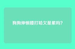 狗狗伸懒腰打哈欠是累吗？