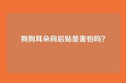 狗狗耳朵向后贴是害怕吗？
