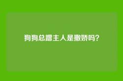 狗狗总蹭主人是撒娇吗？