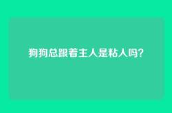 狗狗总跟着主人是粘人吗？