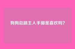 狗狗总舔主人手脚是喜欢吗？