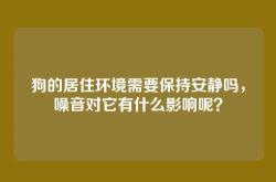 狗的居住环境需要保持安静吗，噪音对它有什么影响呢？