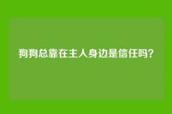 狗狗总靠在主人身边是信任吗？