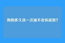 狗狗多久洗一次澡不会伤皮肤？