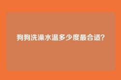 狗狗洗澡水温多少度最合适？