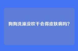狗狗洗澡没吹干会得皮肤病吗？