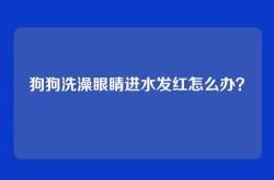 狗狗洗澡眼睛进水发红怎么办？