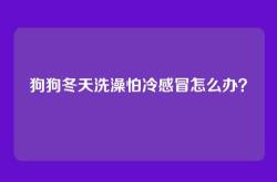 狗狗冬天洗澡怕冷感冒怎么办？