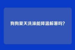 狗狗夏天洗澡能降温解暑吗？