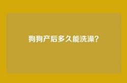 狗狗产后多久能洗澡？
