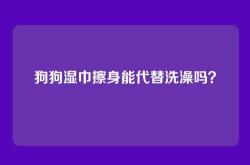 狗狗湿巾擦身能代替洗澡吗？