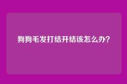 狗狗毛发打结开结该怎么办？
