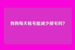 狗狗每天梳毛能减少掉毛吗？