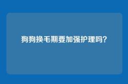 狗狗换毛期要加强护理吗？
