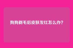 狗狗剃毛后皮肤发红怎么办？