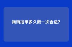 狗狗指甲多久剪一次合适？