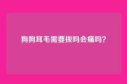 狗狗耳毛需要拔吗会痛吗？