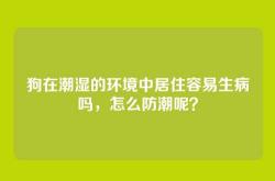 狗在潮湿的环境中居住容易生病吗，怎么防潮呢？
