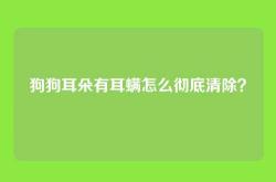 狗狗耳朵有耳螨怎么彻底清除？