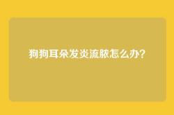 狗狗耳朵发炎流脓怎么办？
