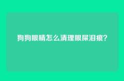狗狗眼睛怎么清理眼屎泪痕？